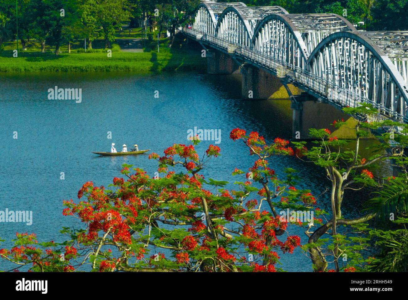 L'albero phoenix fiorisce ai piedi del ponte Trang Tien, città di Hue, Vietnam Foto Stock