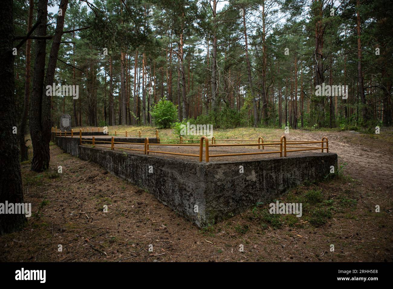 A Merkinė, einer kleinen Stadt in Litauen, gibt es einen alten jüdischen Friedhof, der tief im Wald versteckt liegt. Dieser Friedhof Dient als stille Foto Stock