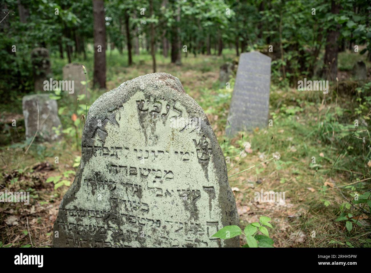 A Merkinė, einer kleinen Stadt in Litauen, gibt es einen alten jüdischen Friedhof, der tief im Wald versteckt liegt. Dieser Friedhof Dient als stille Foto Stock