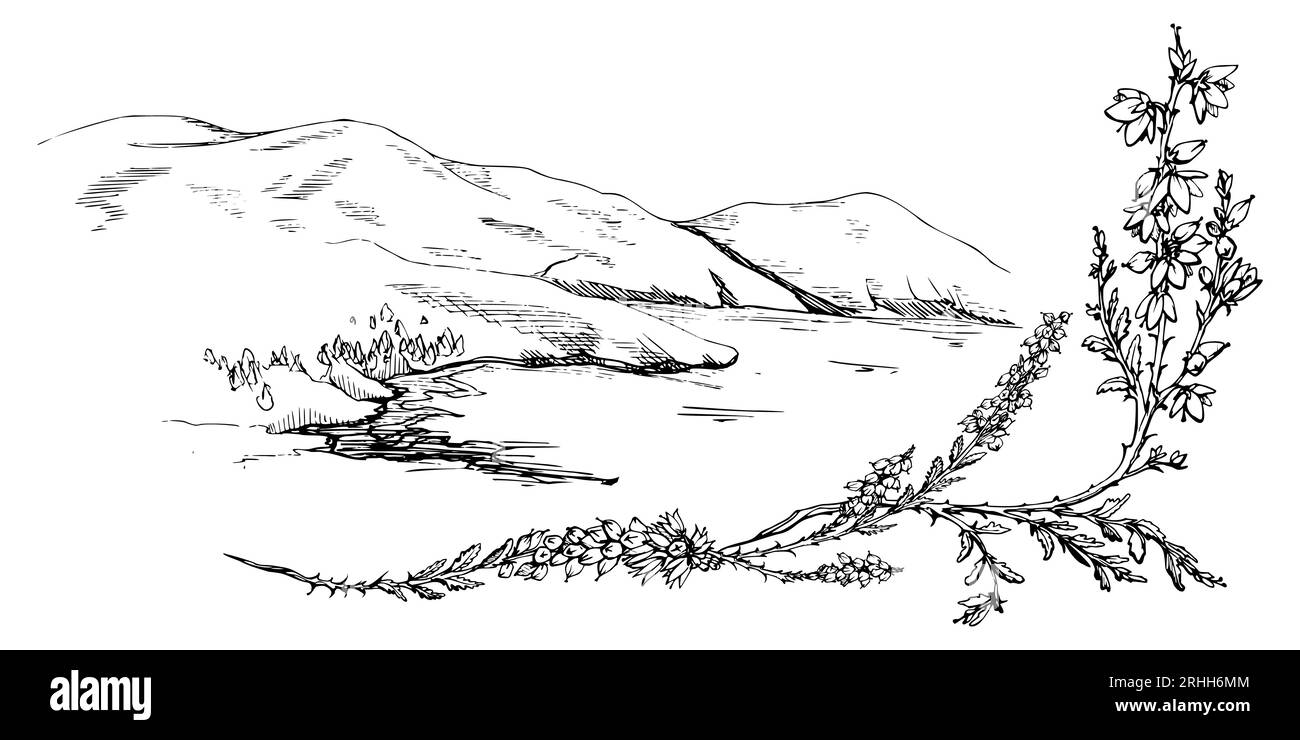 Illustrazione del vettore di schizzo disegnato a mano con inchiostro. Paesaggio paesaggistico della natura di campagna degli altopiani. Hills, Lake, heather. Composizione striscione orizzontale Illustrazione Vettoriale