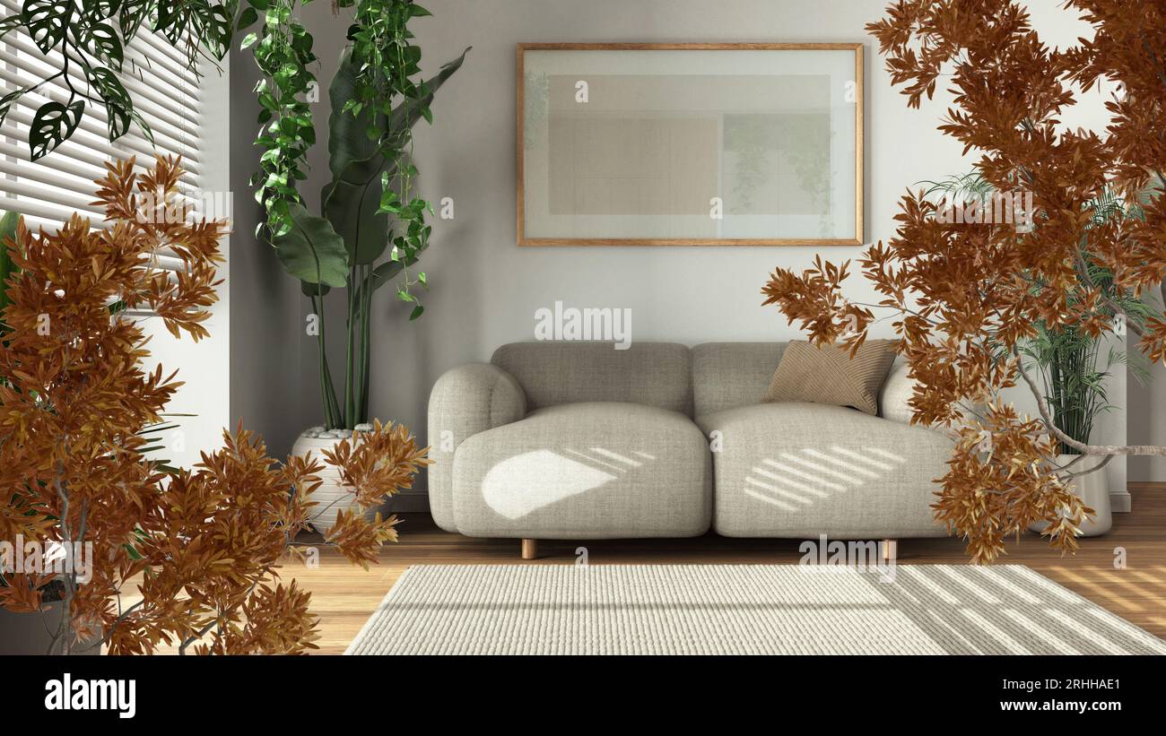 Foglie autunnali arancioni gialle e rosse, ramificazione dell'albero sulla scena di interior design. Concetto di ecologia naturale. Soggiorno minimalista con divano e piante da casa Foto Stock