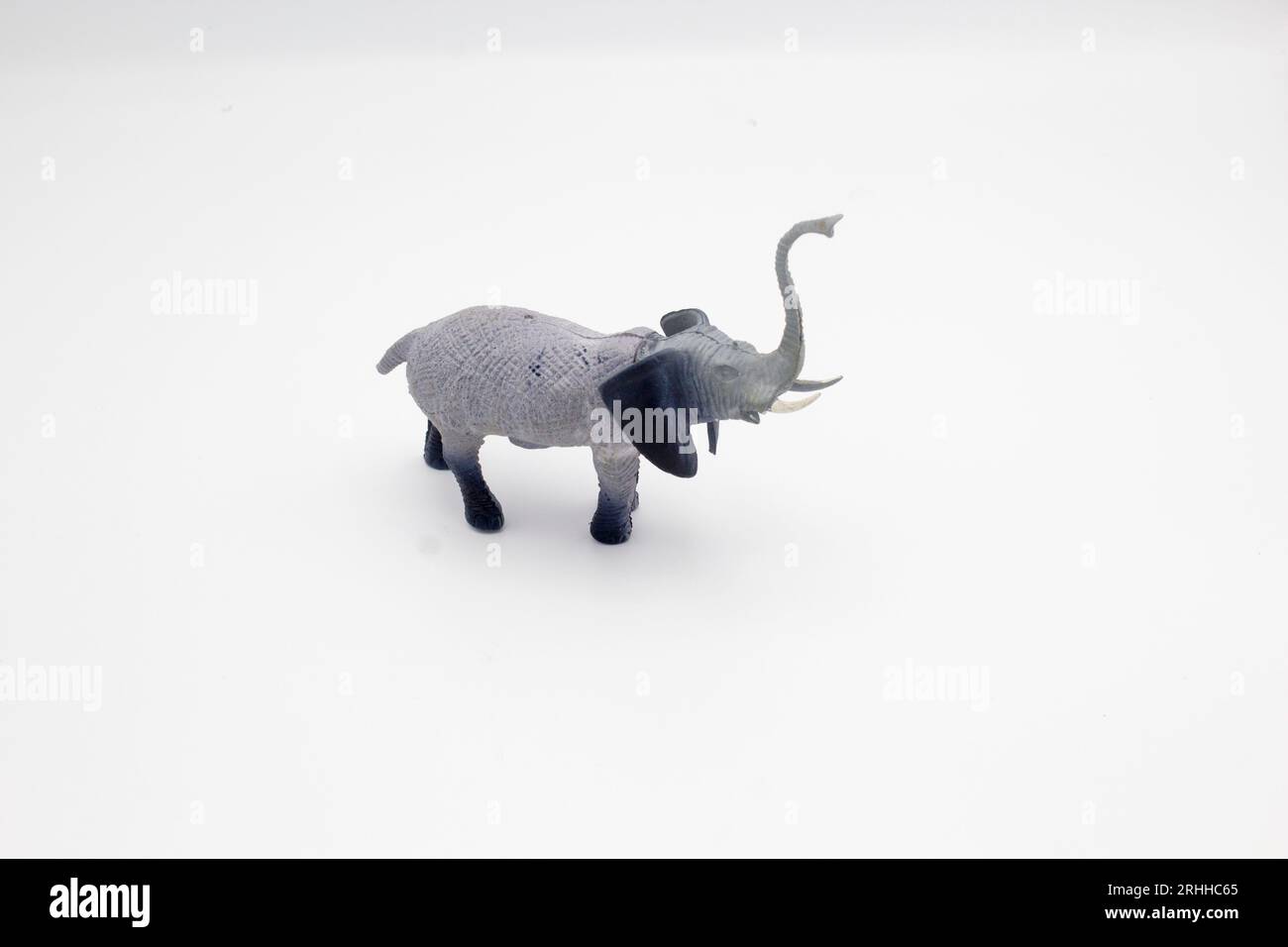 isolare lo sfondo bianco dell'elefante giocattolo Foto Stock