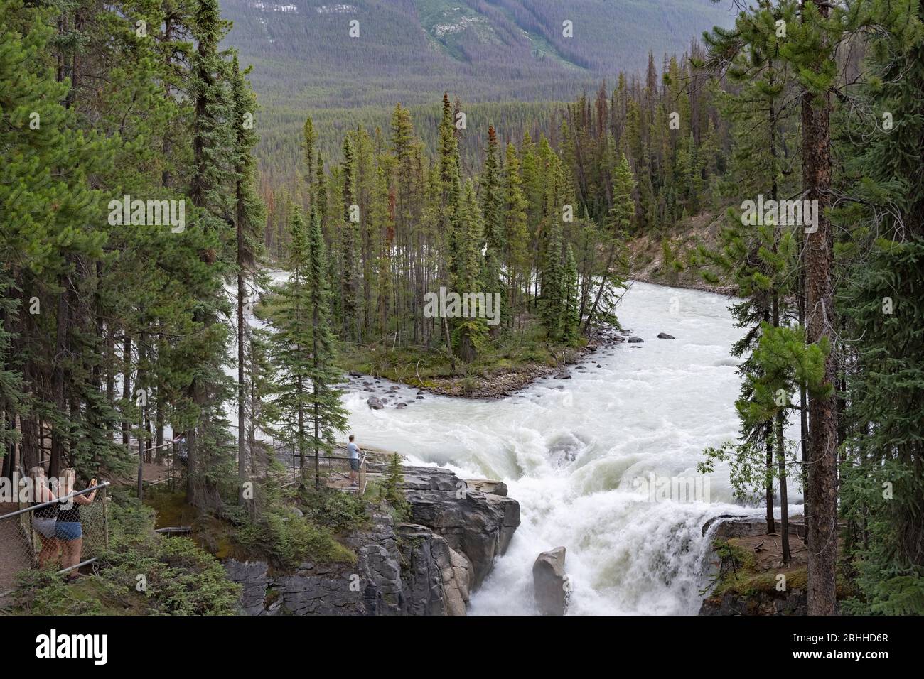 Turisti che fotografano Sunwapta Falls, Jasper, Jasper National Park Canada Foto Stock