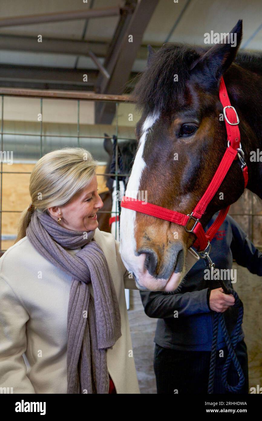 Sophie, duchessa del Wessex, allo Shire Horse Society National Show 2019, nel suo ruolo di presidente della società Foto Stock