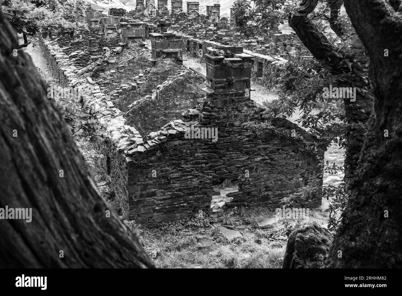 Abbandonate le caserme dei cacciatori nella miniera di ardesia abbandonata incorniciata tra gli alberi. Foto Stock