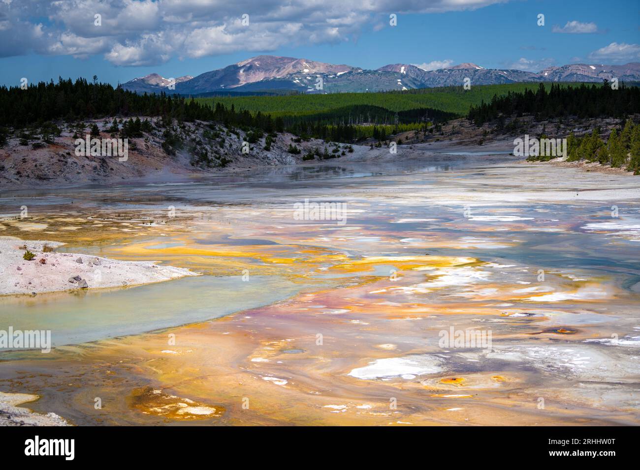 finestra sulla natura Foto Stock