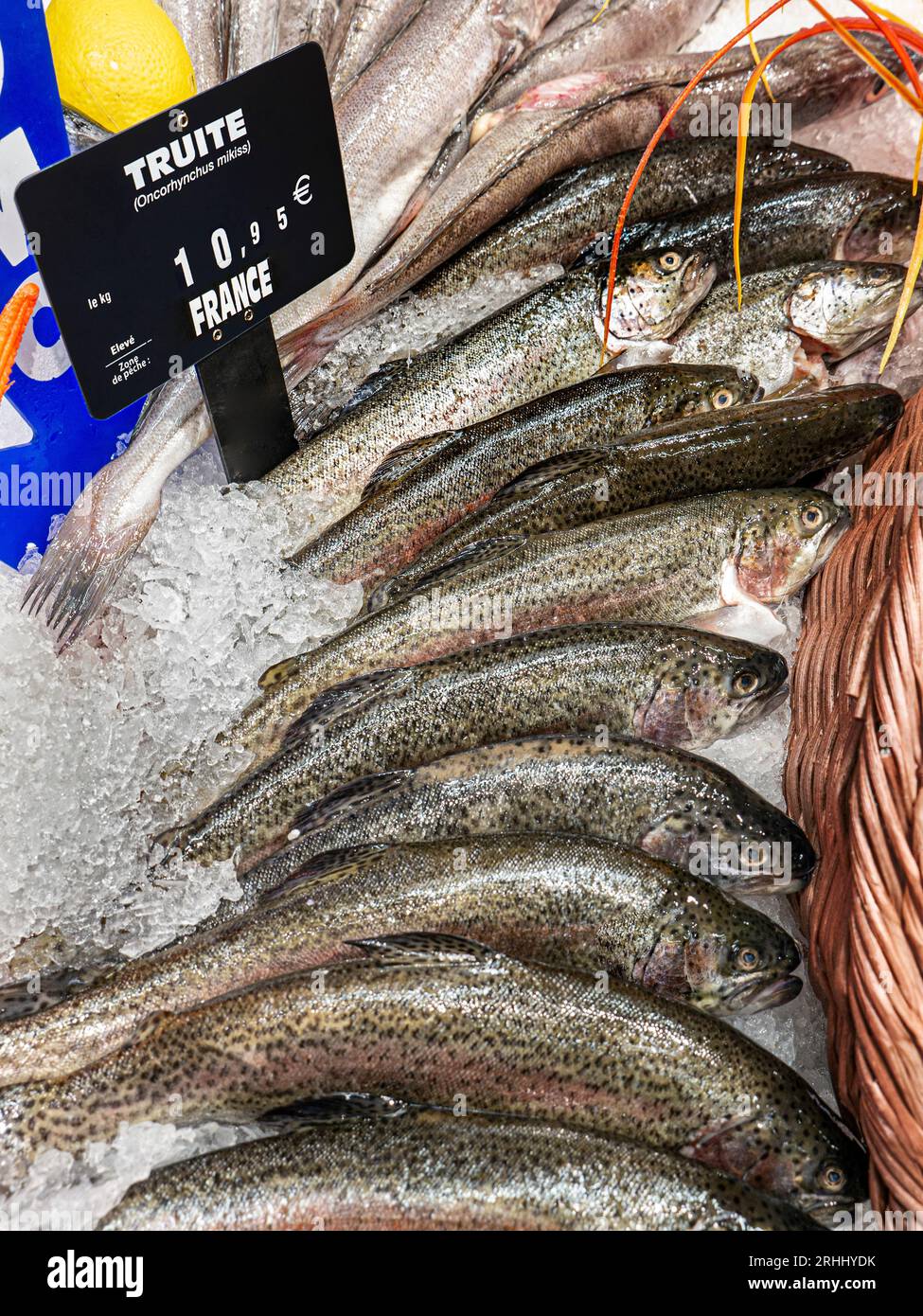 TROTE French Fishmonger esposizione di TROTE fresche TRUITE in vendita su ghiaccio tritato presso la bancarella di pesce Concarneau a Concarneau Les Halles Market Bretagna Francia Foto Stock