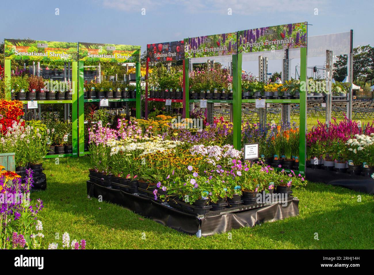 Piante erbacee perenni, arbusti e fiori; industria orticola, serra maglia metallica vivaio fiore esposizione di piante da fiore per Southport Flower Show, 2023 Foto Stock