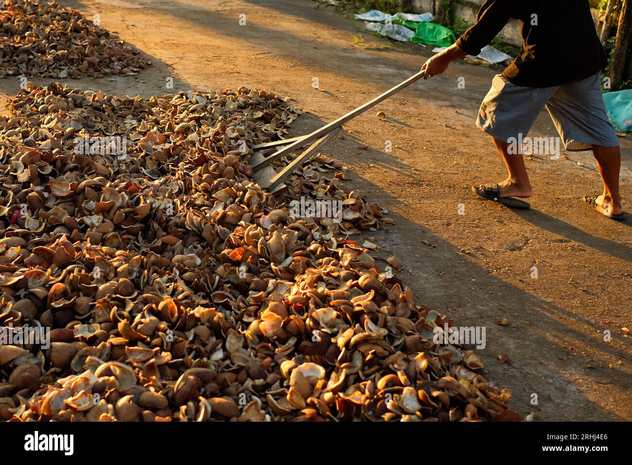 Per estrarre l'olio di cocco si usa la copra essiccata proveniente da noci di cocco selezionate Foto Stock