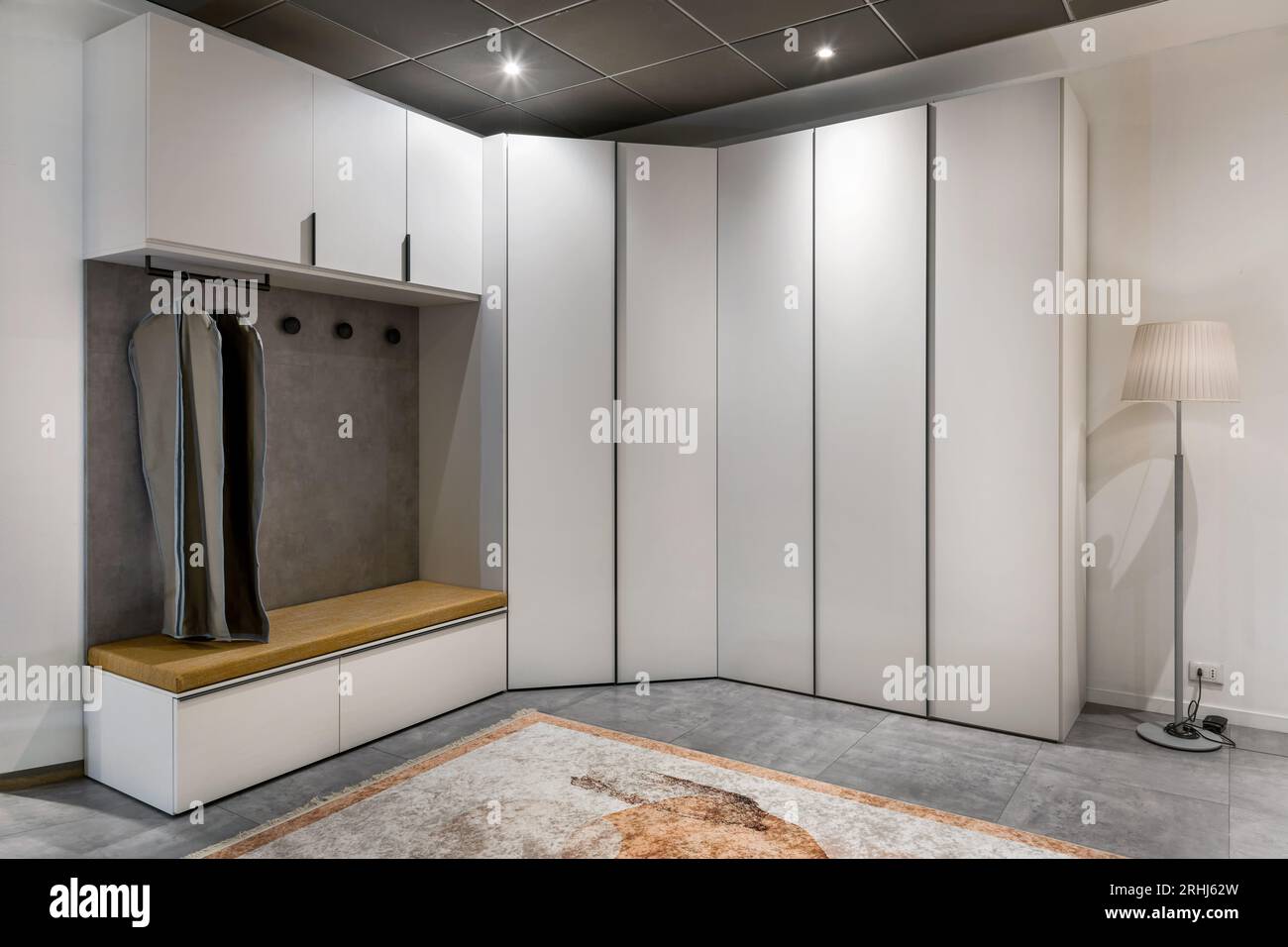 Interni creativi di guardaroba minimalista con abiti sospesi progettati in angolo tra armadi in legno con porte chiuse vicino a moquette e piantana sotto Foto Stock