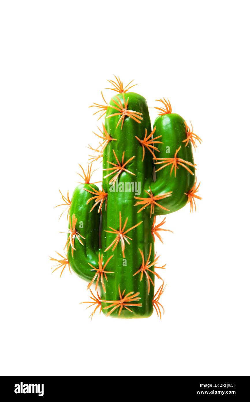 Cactus isolato su sfondo bianco. Copia spazio. Foto Stock