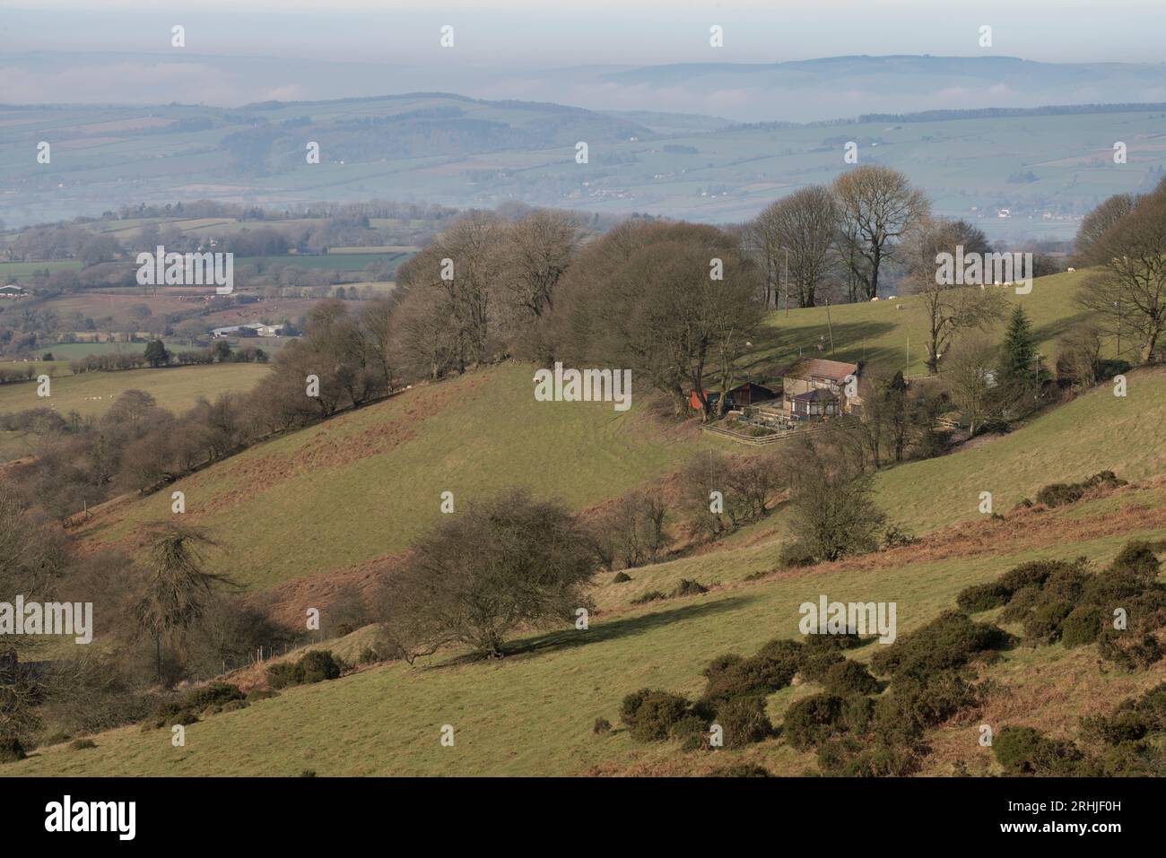 Una giornata di primavera soleggiata sulla cima di Clee Turf, Brown Clee Hill, Burwarton, Shropshire, Inghilterra, REGNO UNITO Foto Stock