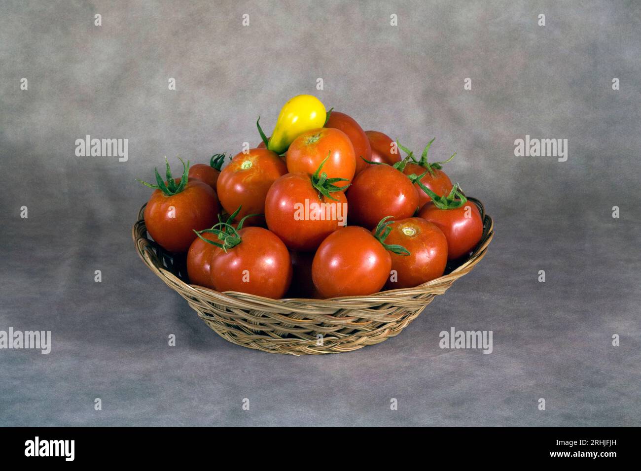 Cestino di pomodori biologici freschi rossi maturi provenienti da un piccolo orto privato di Bend, Oregon. Foto Stock