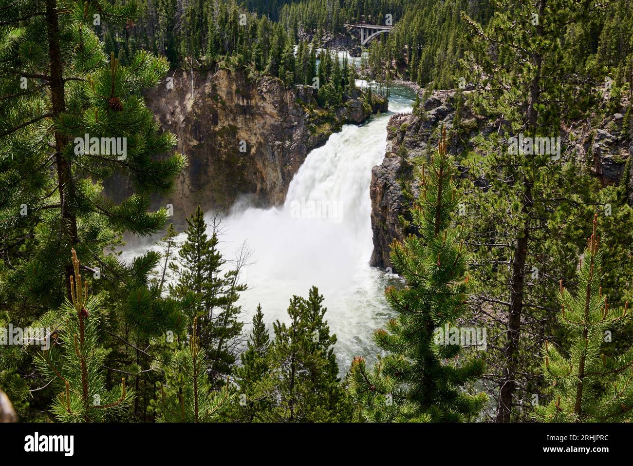 Cascate superiori del fiume Yellowstone, parco nazionale di Yellowstone, Wyoming, Stati Uniti d'Americaa Foto Stock