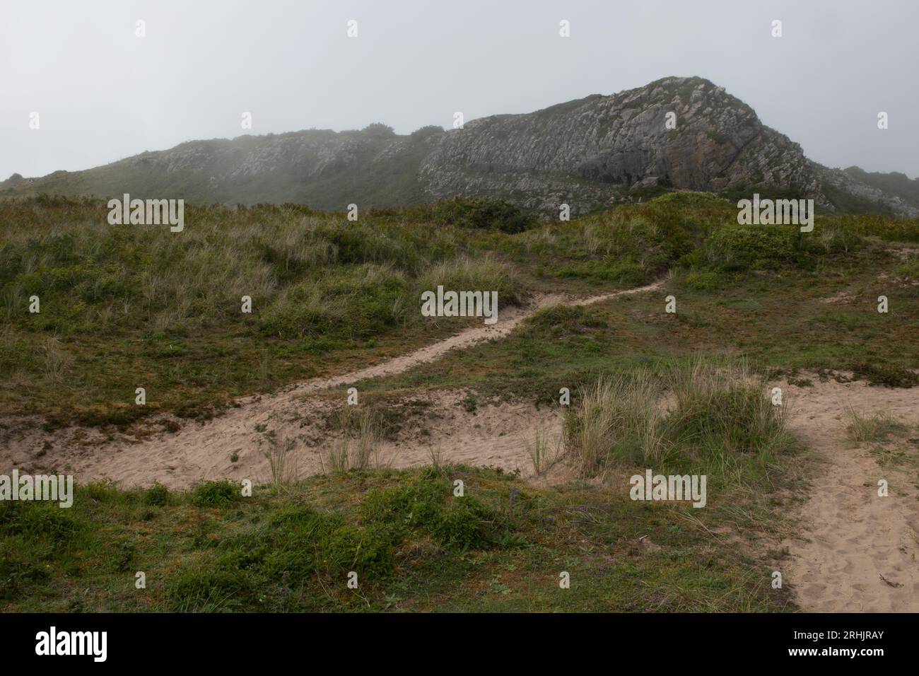 Cliff and Dunes, Broad Haven, Stackpole Estate, Pembrokeshire, Galles Foto Stock