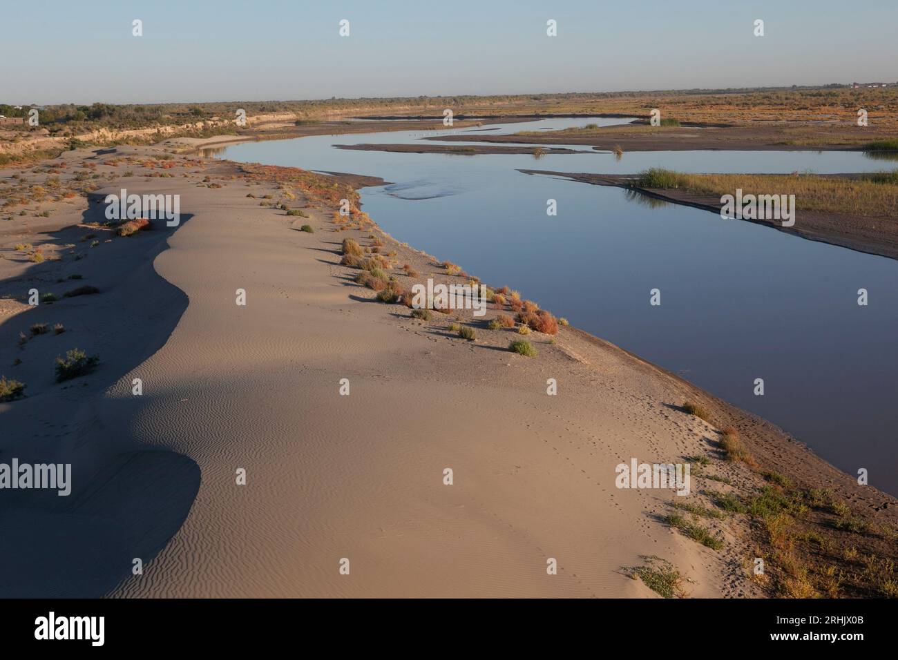 Il fiume Amu-Darya nel Nukus è in gran parte scomparso a causa dell'irrigazione a monte. Uzbekistan. Foto Stock