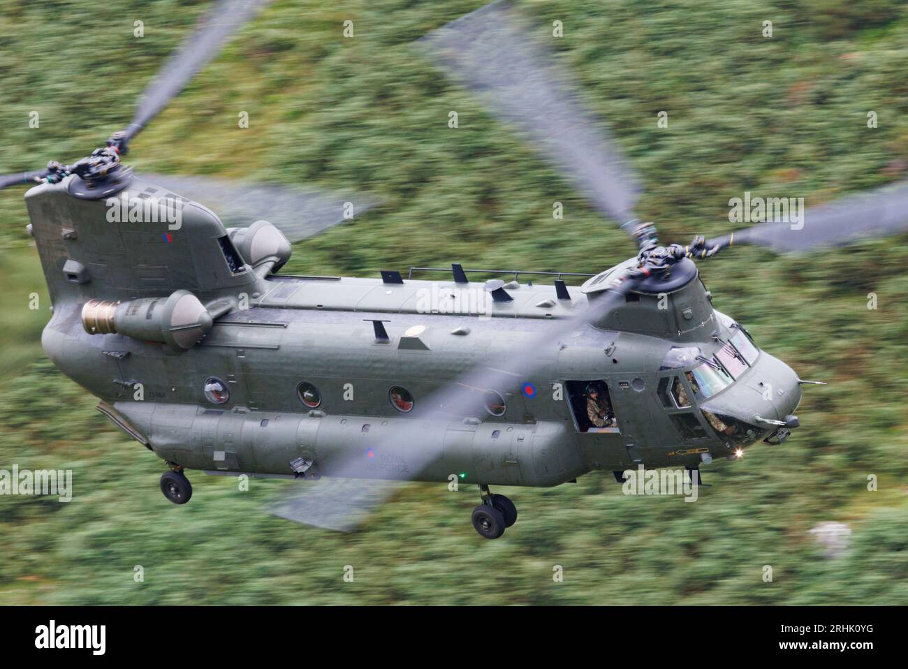 Un elicottero della RAF Chinook che pratica voli bassi nell'area di Mach Loop in Galles Foto Stock