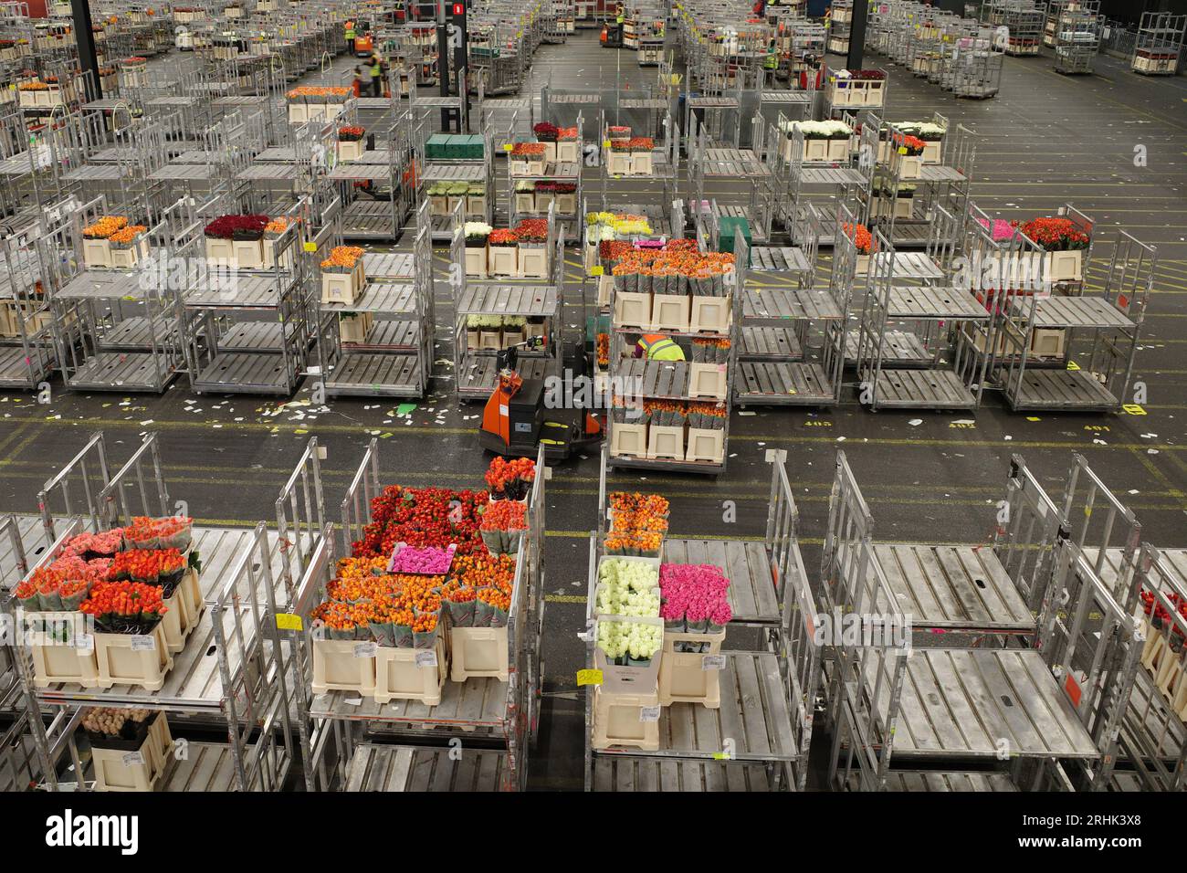 Aalsmeer, Paesi Bassi, 14 agosto 2023; carrelli con fiori nelle sale della più grande asta di fiori del mondo, FloraHolland, vicino ad Amsterdam. Foto Stock