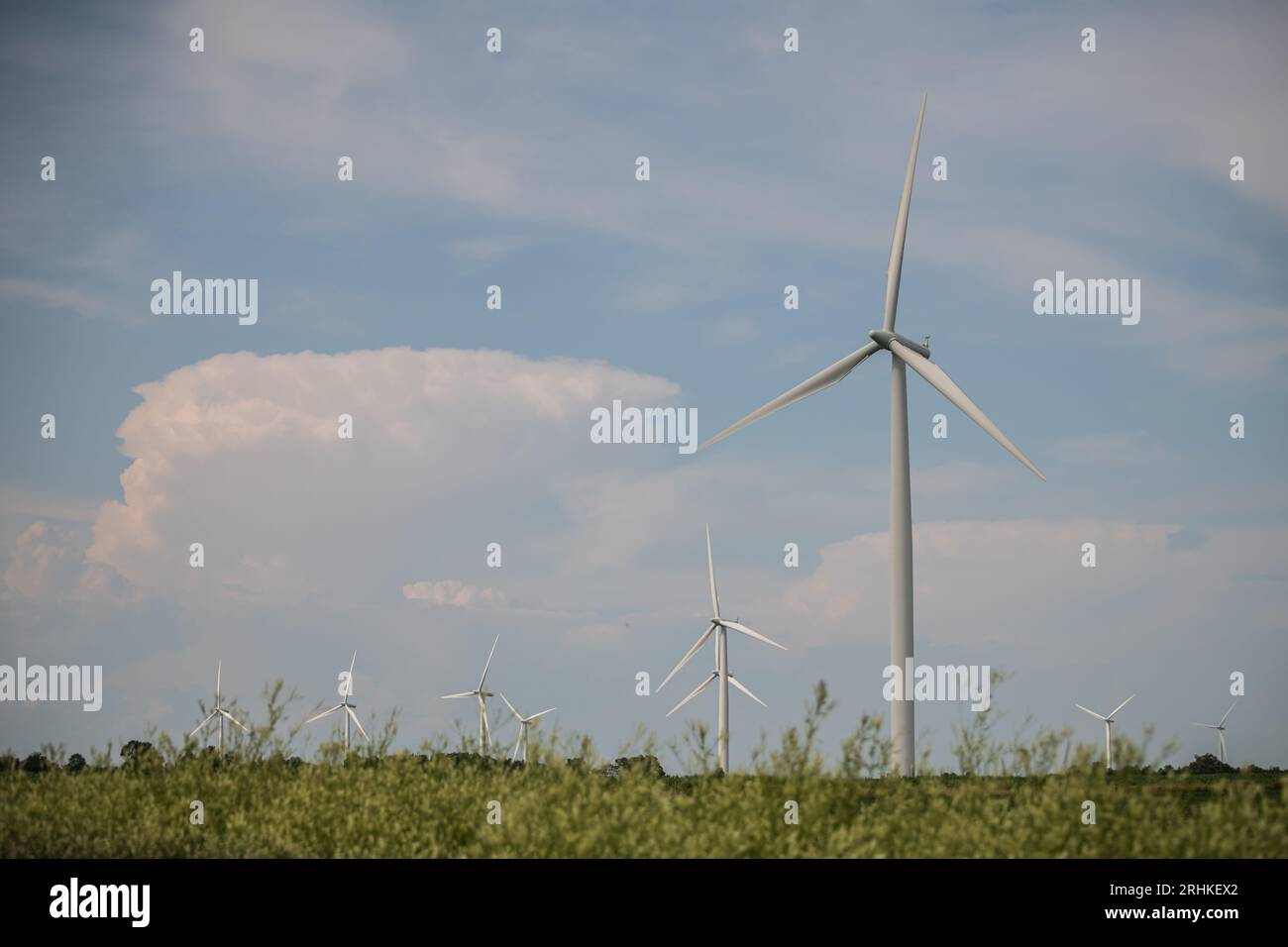 Produzione di energia elettrica in un parco eolico a turbina a Wolfe Island; iniziative dell'Ontario per le risorse rinnovabili per la produzione di energia verde Foto Stock