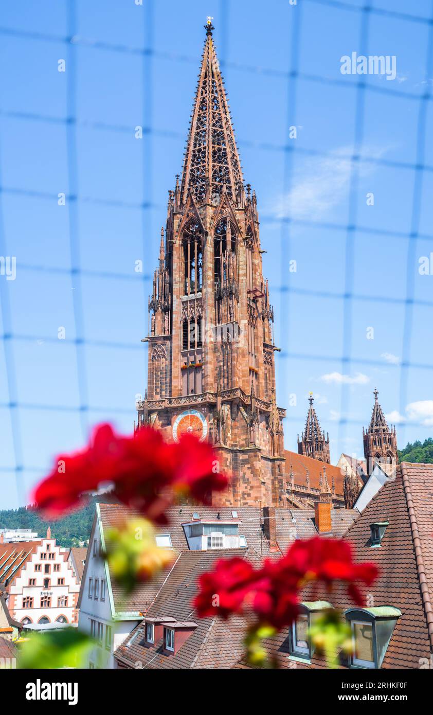 Friburgo Minster è la cattedrale di Friburgo in Brisgovia, Germania sud-occidentale - foto verticale Foto Stock