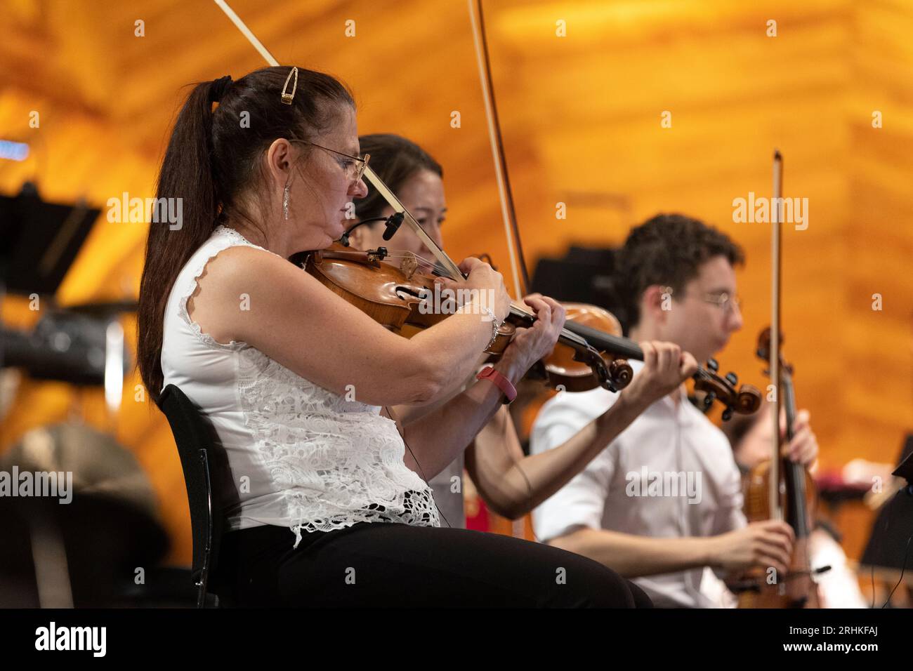 La Boston Landmarks Orchestra si esibisce presso la Hatch Shell sull'Esplanade Boston Massachusetts Foto Stock