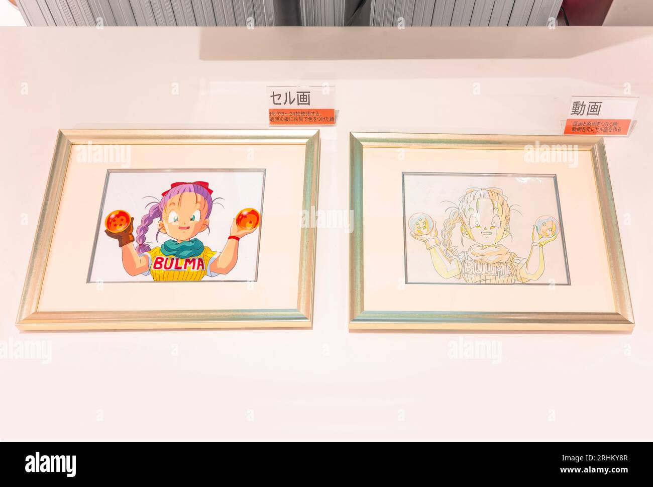 tokyo, ginza - luglio 31 2023: Originali foglio di celluloide seruga disegnato a mano e douga inbetweener che disegna il personaggio Bulma dalla sfera di drago al f Foto Stock