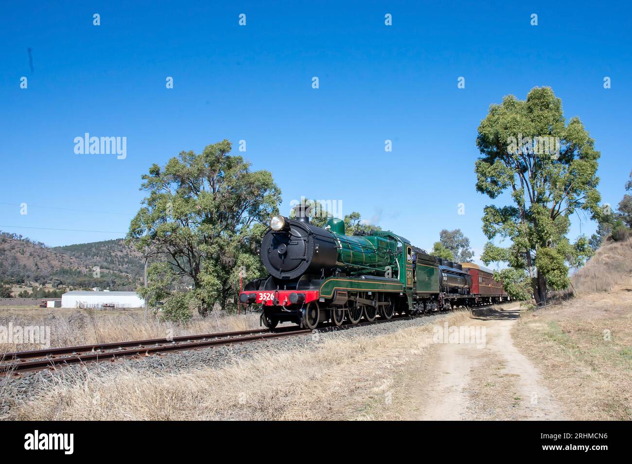 Locomotiva passeggeri a vapore 3526 che viaggia ha superato gli alberi di gomma nella campagna del nuovo Galles del Sud Australia/ Foto Stock