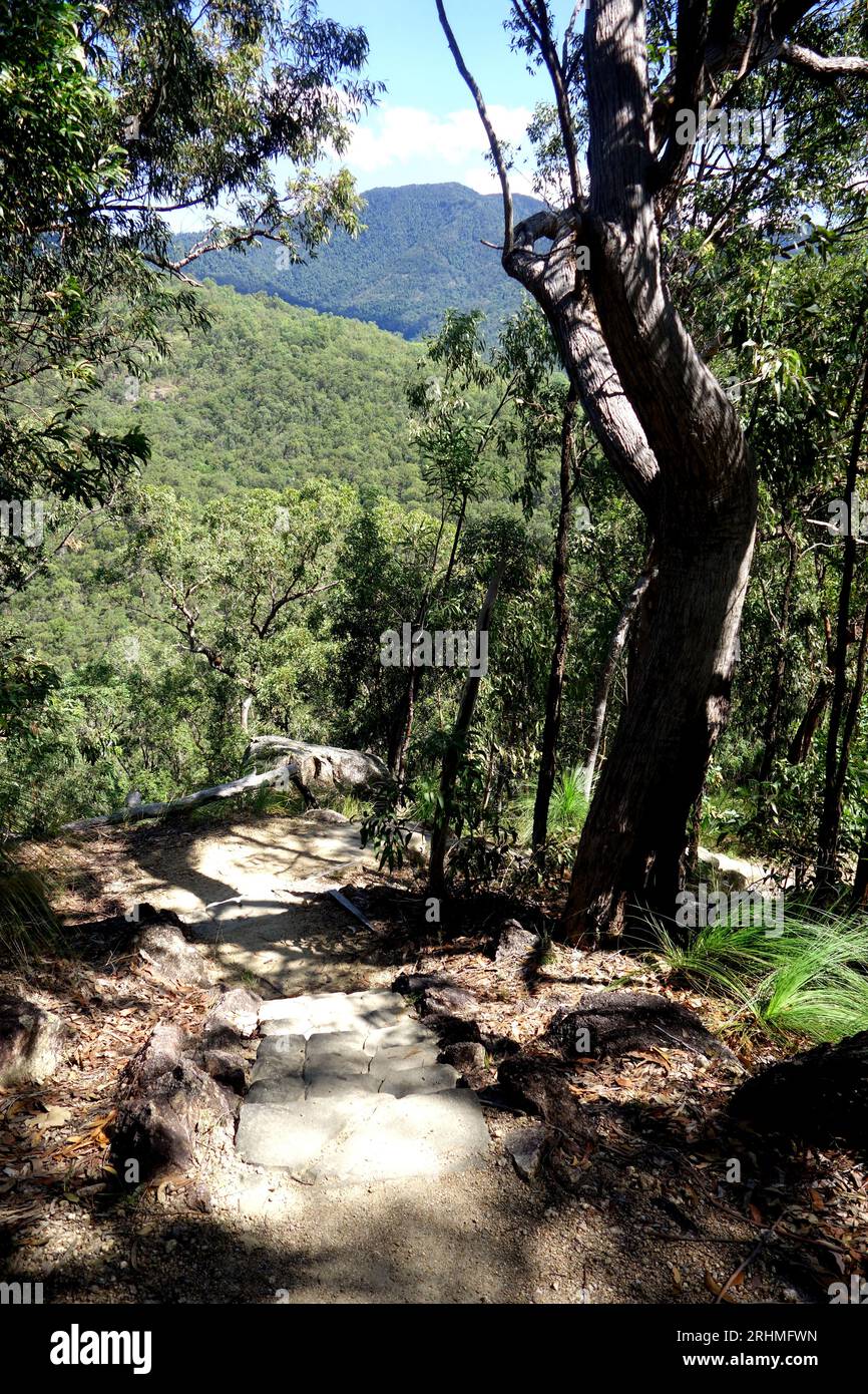 Raggiungi a piedi il punto panoramico di Cardwell Forest Drive, il parco nazionale di Girringun, Queensland, Australia Foto Stock