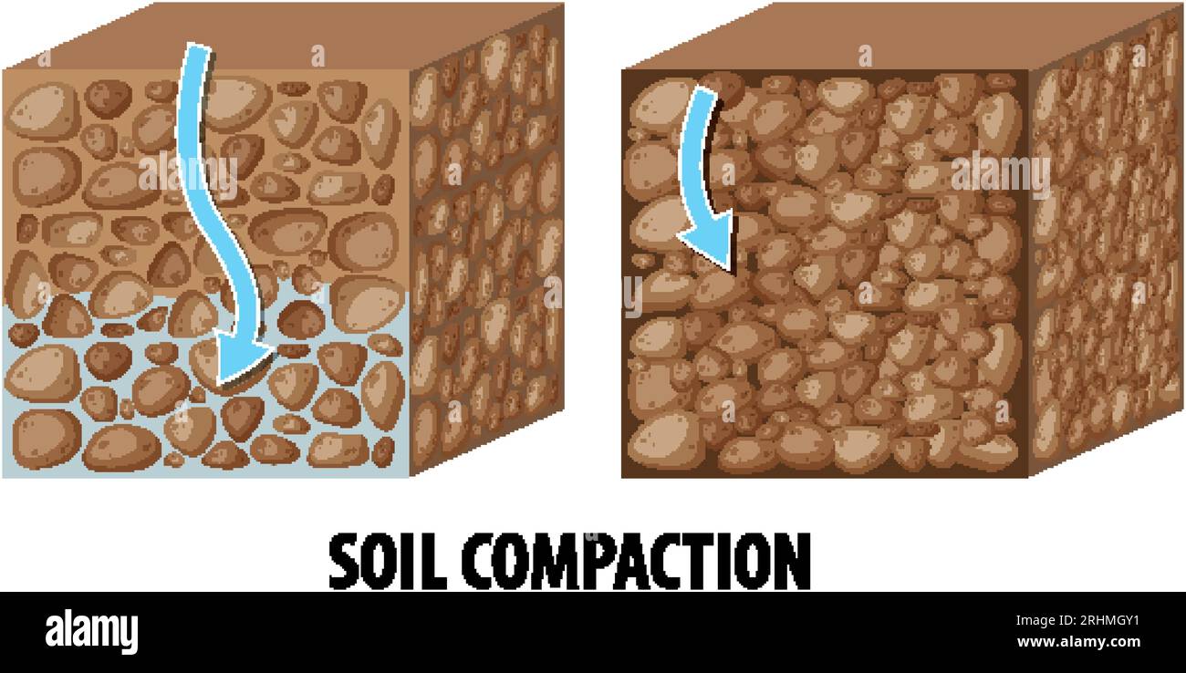 Diagramma illustrato che confronta la densità di compattazione del suolo per l'apprendimento della scienza Illustrazione Vettoriale