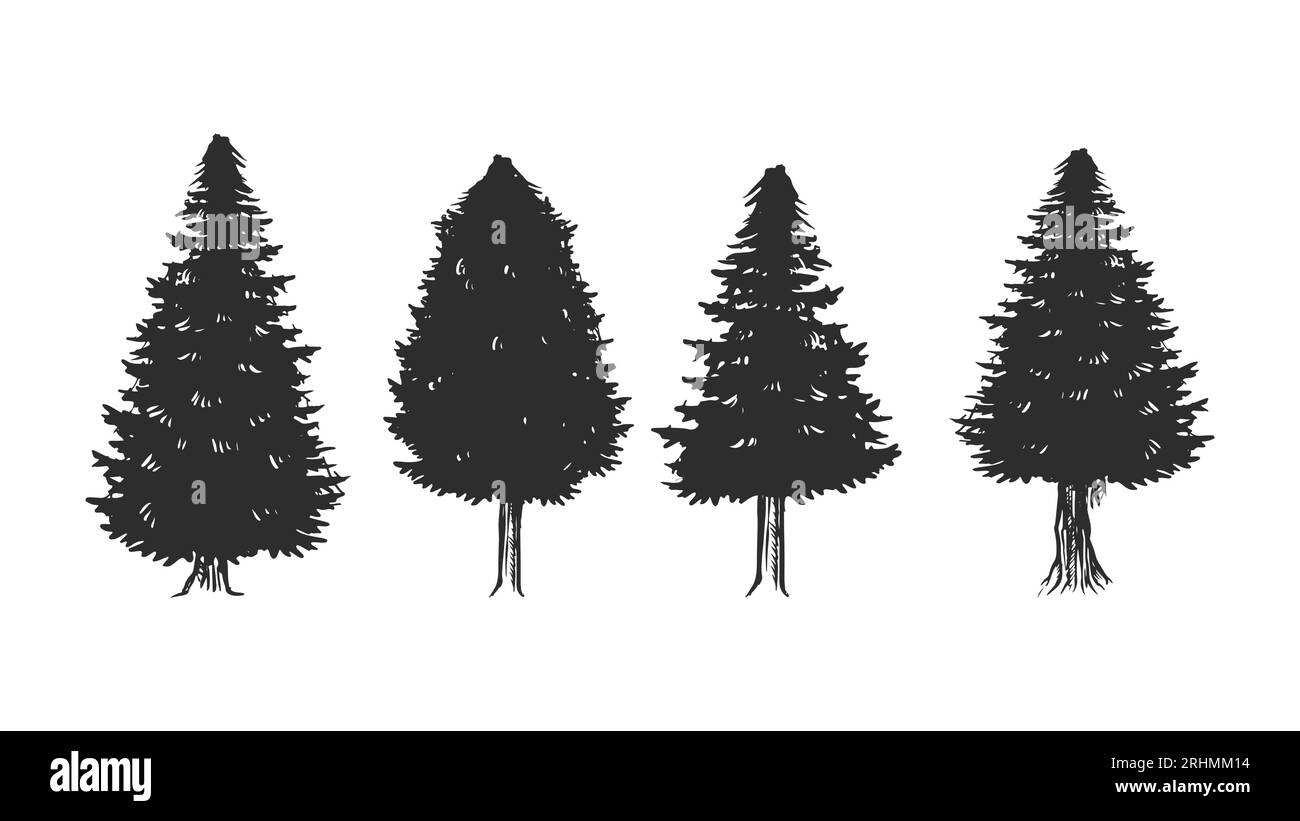 Disegni a mano, disegni a forma di pini, disegni vettoriali di silhouette vintage, oggetti isolati. Illustrazione Vettoriale