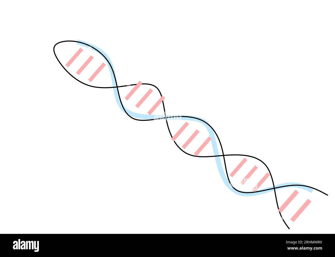 Un disegno continuo a linea singola di dna isolato su sfondo bianco. Illustrazione Vettoriale
