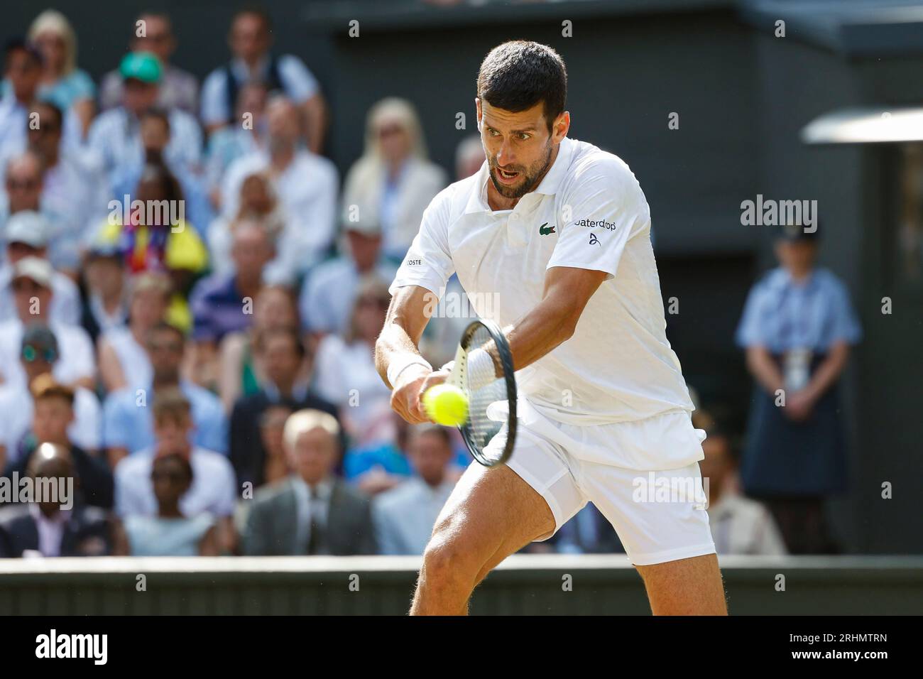 Il tennista Novak Djokovic (SRB) in azione ai Campionati di Wimbledon 2023, All England Lawn Tennis and Croquet Club, Londra, Inghilterra. Foto Stock