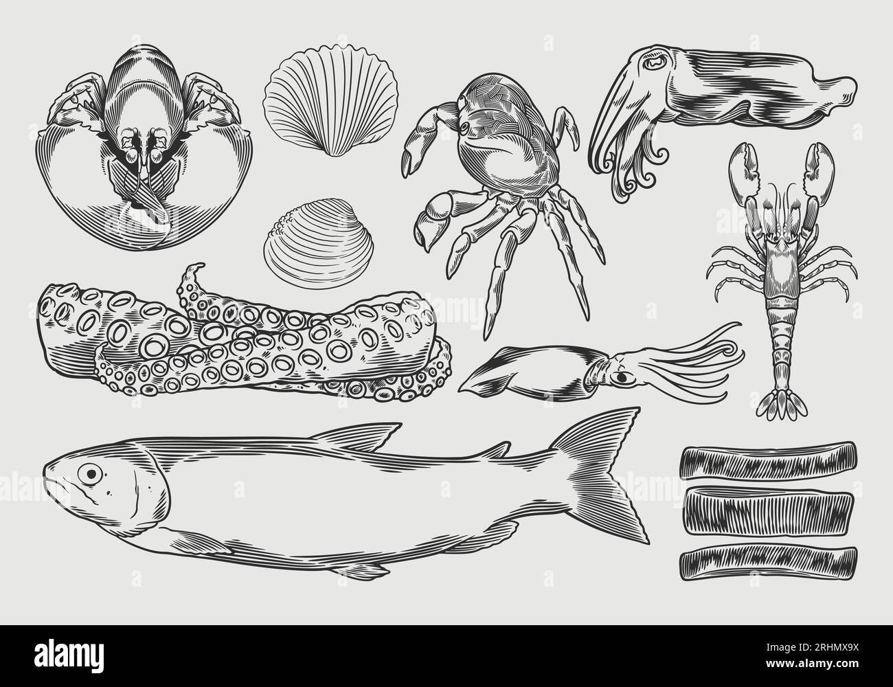 Illustrazione vettoriale del set di disegno frutti di mare. Disegno a mano vintage di pesci marini in linea, ostriche, cozze, aragoste, calamari, polpo, granchi, pr Illustrazione Vettoriale