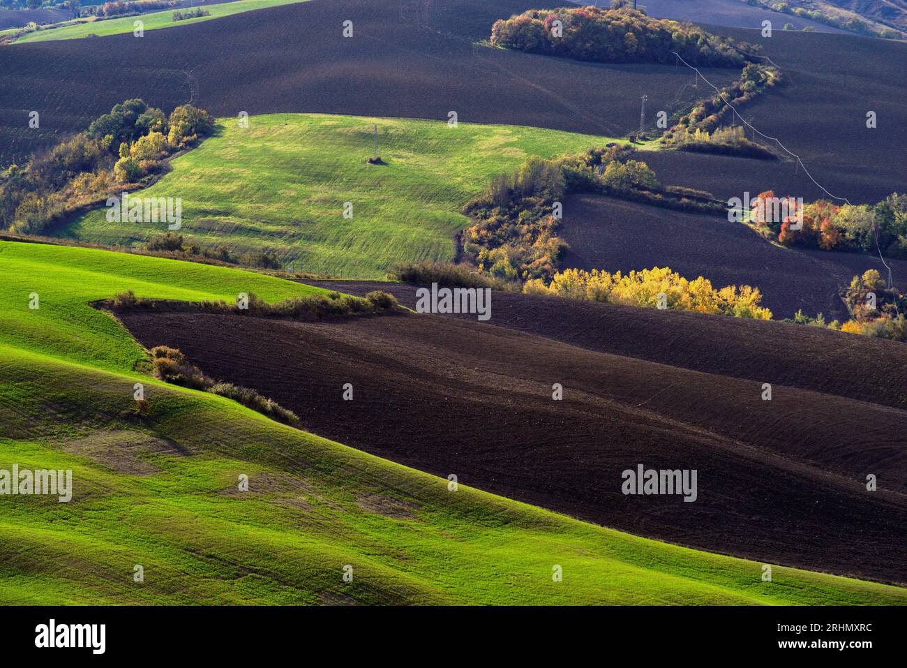 campi in autunno Foto Stock