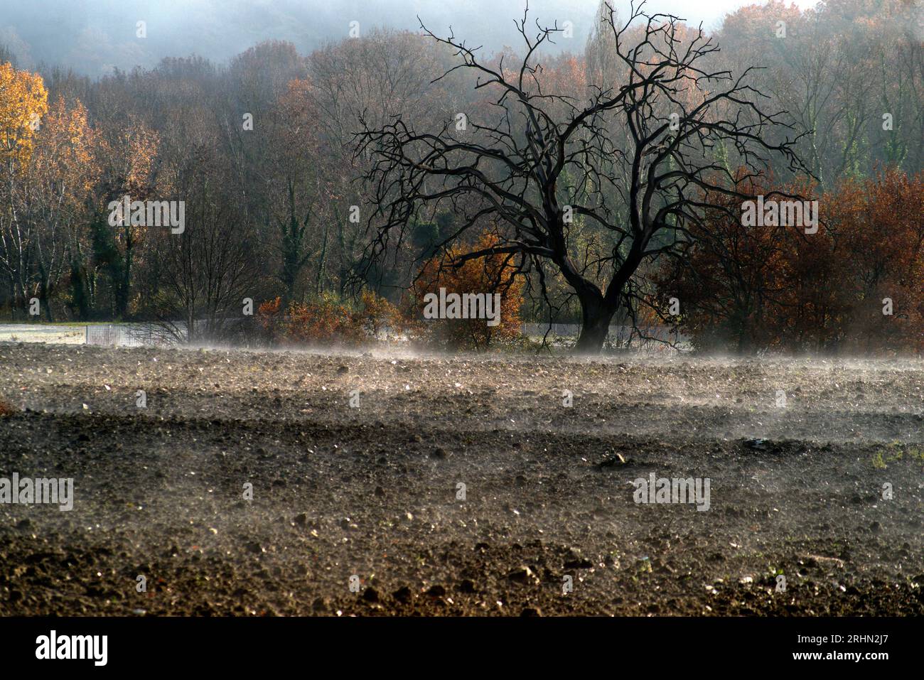 bruma mattutina si alza da un campo arato Foto Stock