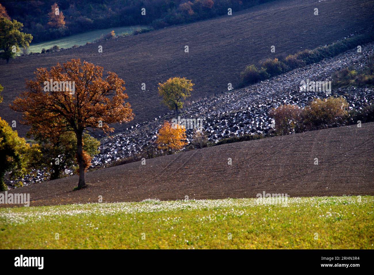 colline del Montefeltro nei caldi colori autunnali Foto Stock