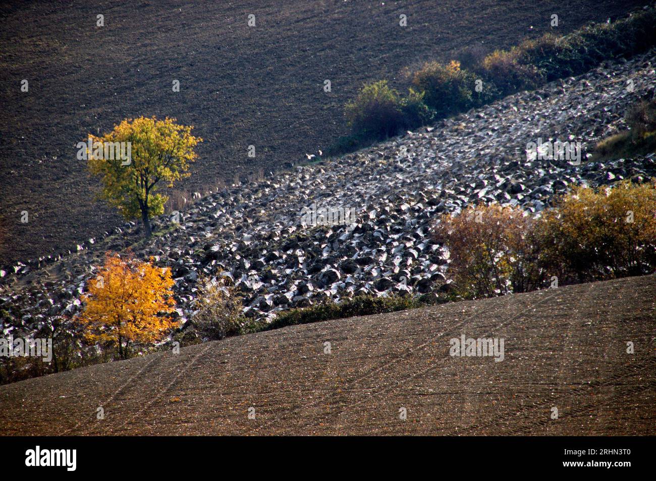 colline del Montefeltro nei caldi colori autunnali Foto Stock