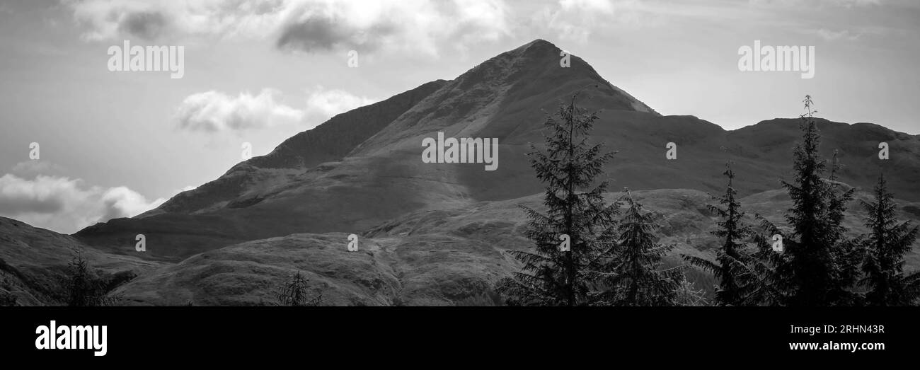 Bianco e nero di Tree and Mountain Scotland Foto Stock