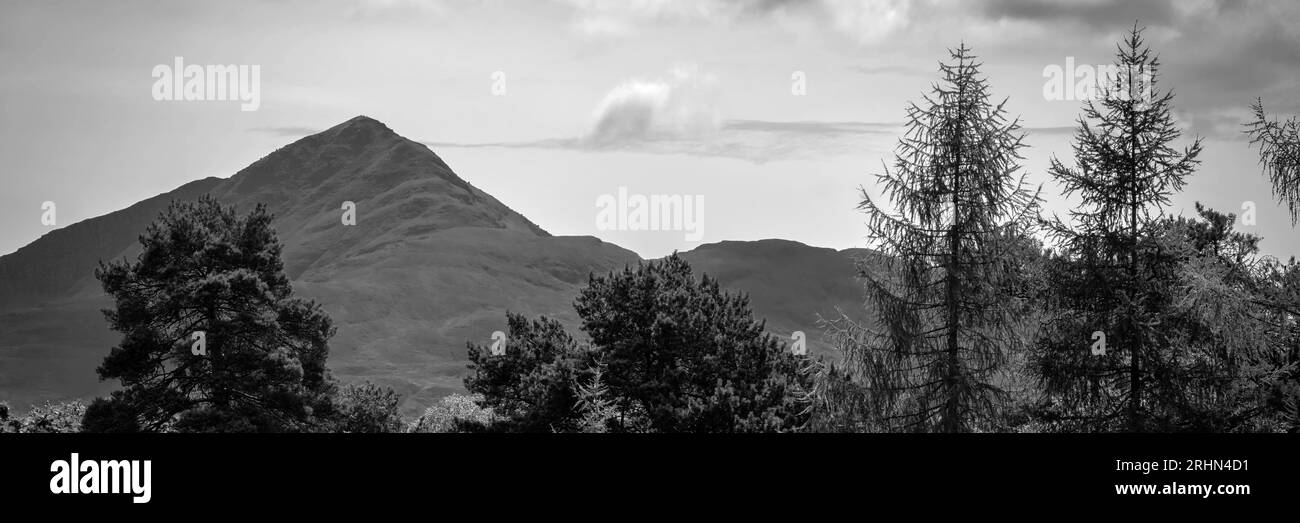 Bianco e nero di Tree and Mountain Scotland Foto Stock