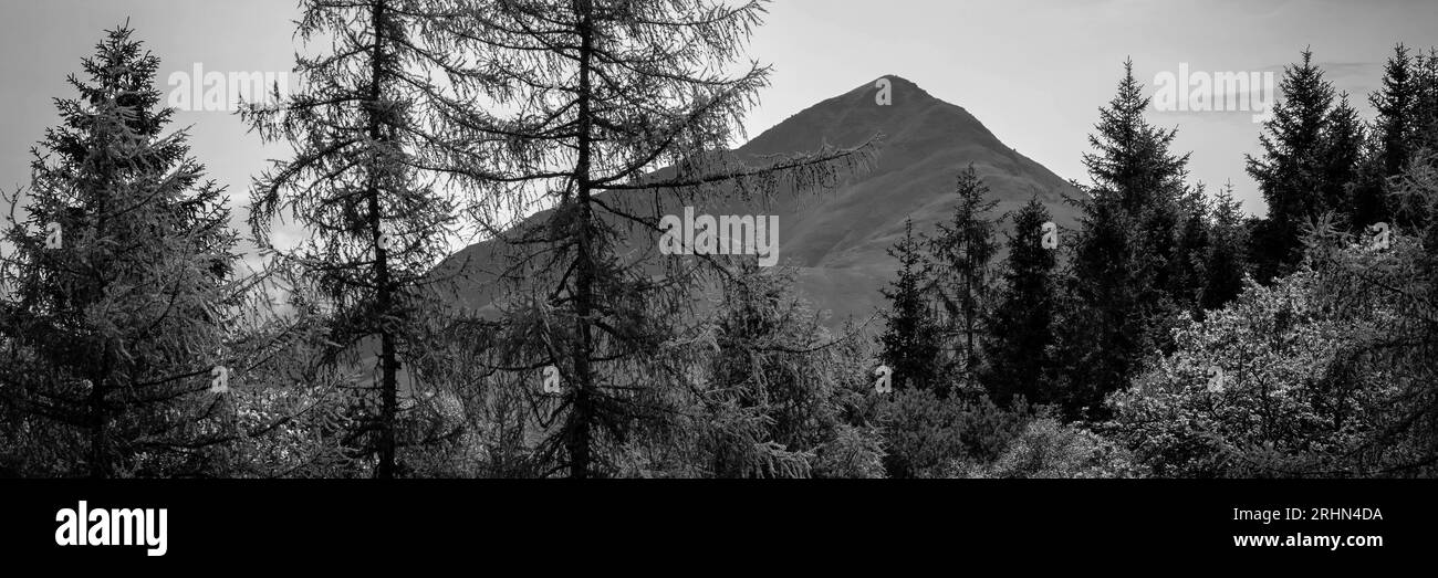 Bianco e nero di Tree and Mountain Scotland Foto Stock