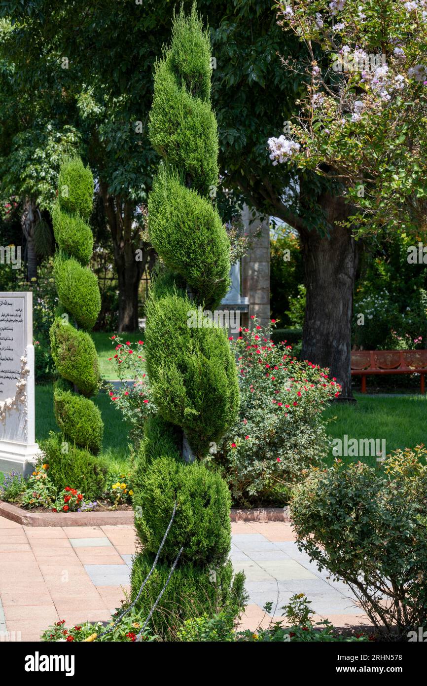 Topiary Tree Sculpturing in a Peace Park Garden in Ghajar (in arabo: غجر, anche Rhadjar), Golan Heights, Israele Foto Stock