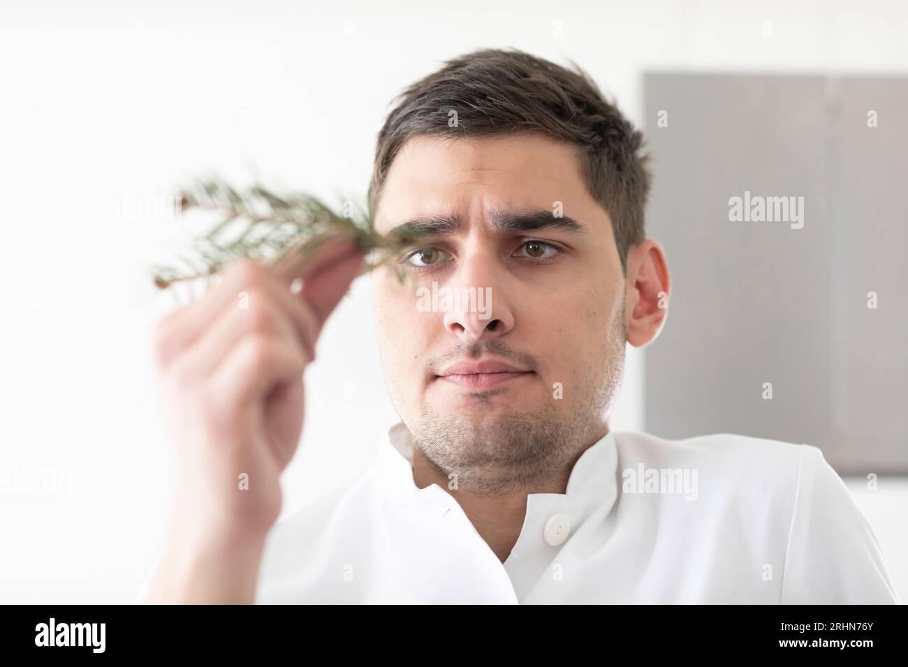 medico maschio che cerca un ramo nella mano Foto Stock