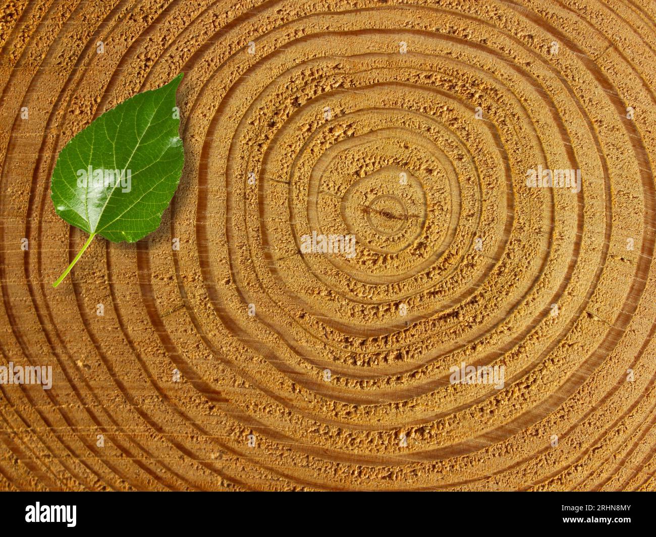 sfondo in legno antico, struttura astratta in legno scuro Foto Stock