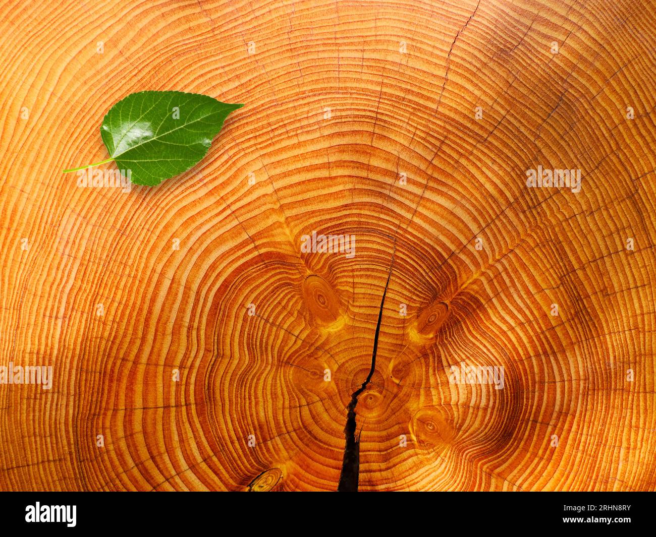 sfondo in legno antico, struttura astratta in legno scuro Foto Stock