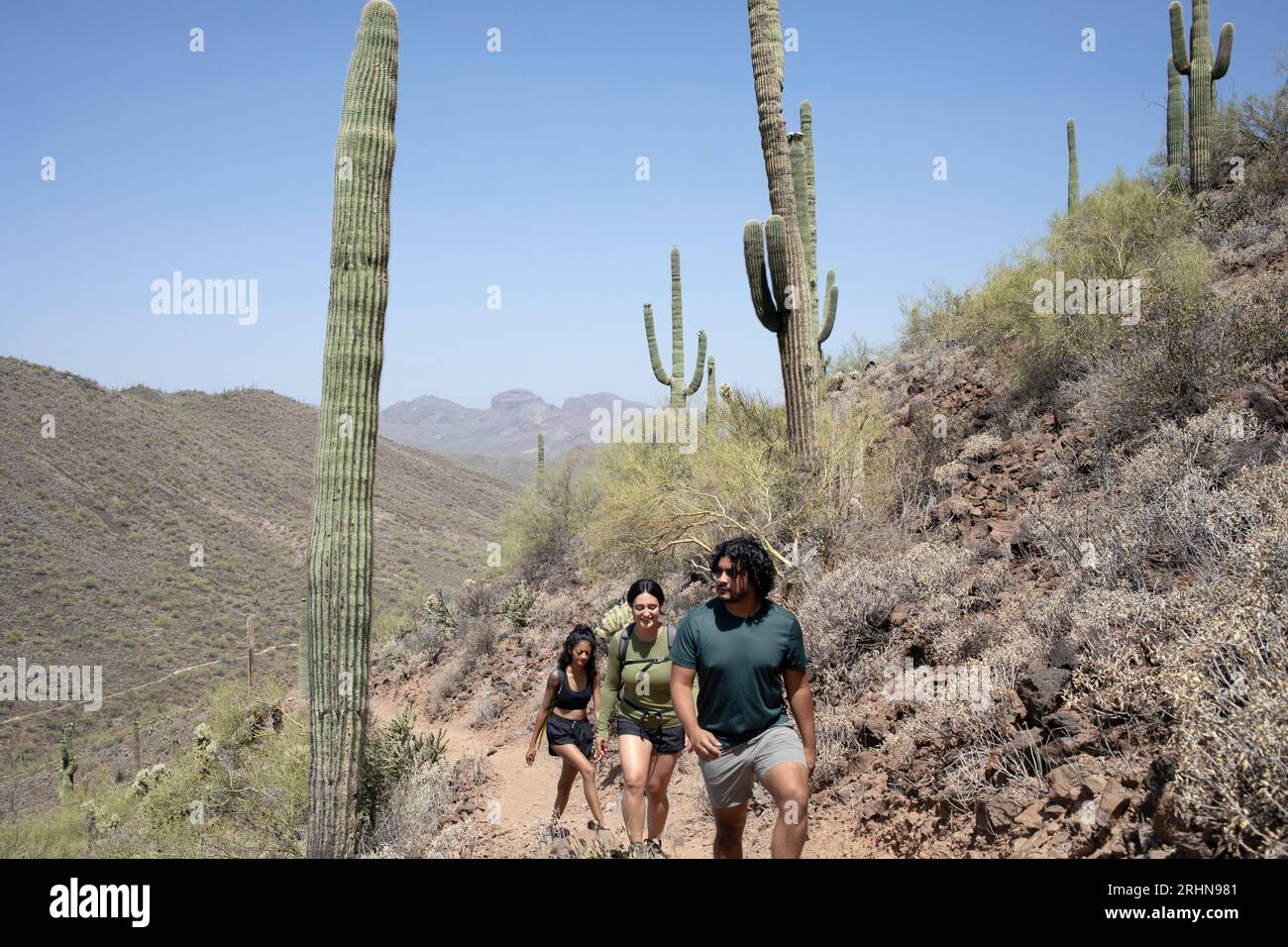 Gli escursionisti passano sotto gli alti cactus del saguaro su un sentiero di montagna nel deserto Foto Stock