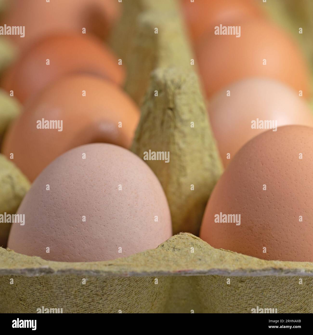 Uova di gallina marroni e bianche nella confezione Foto Stock