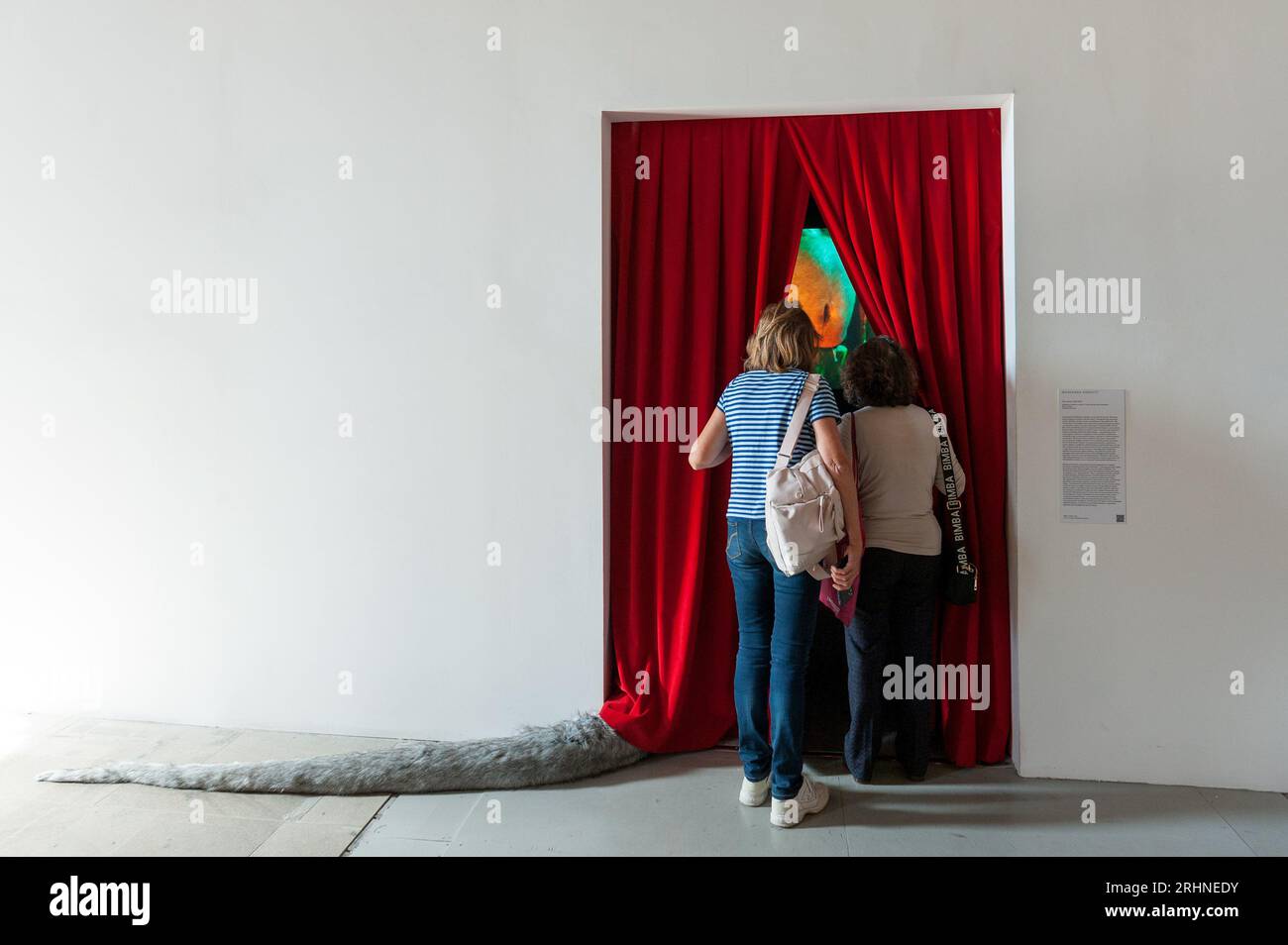 59a Biennale di Venezia 2022, Venezia, Italia Foto Stock