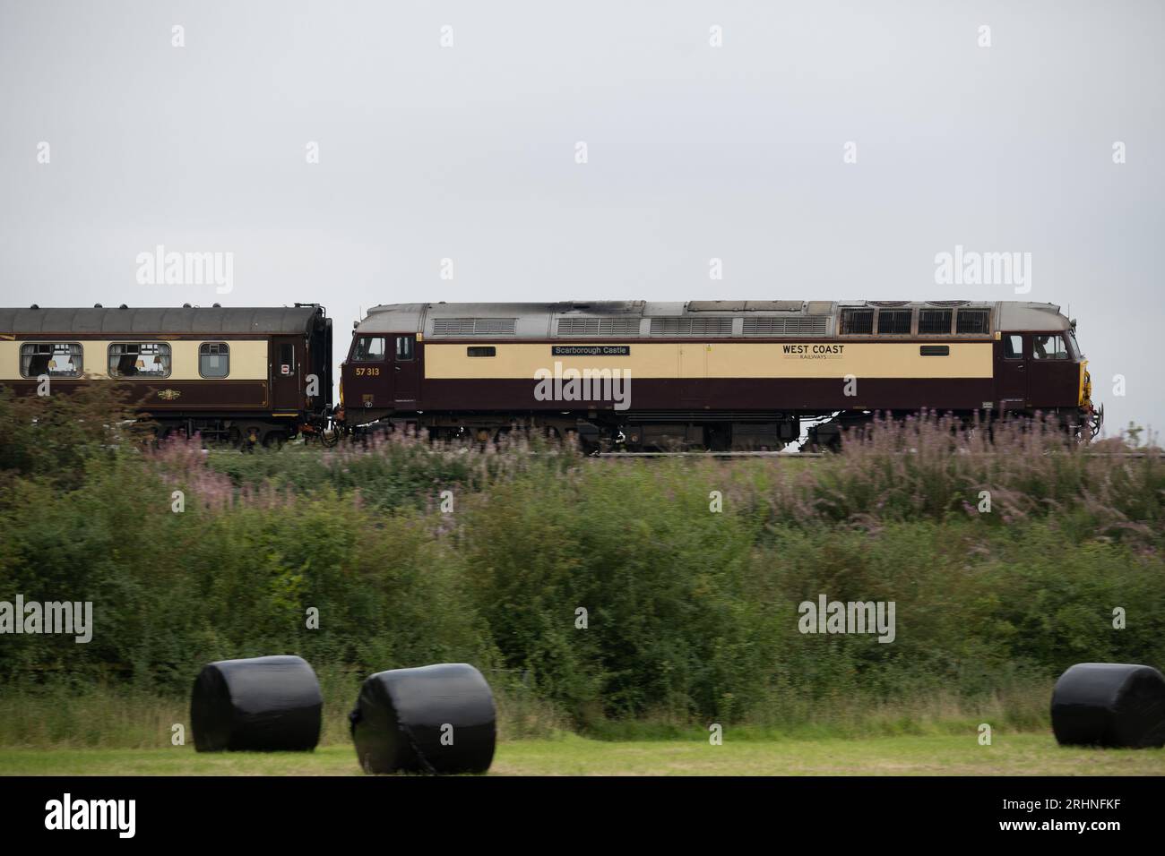 West Coast Railways classe 57 locomotiva diesel n. 57313 "Scarborough Castle" Foto Stock