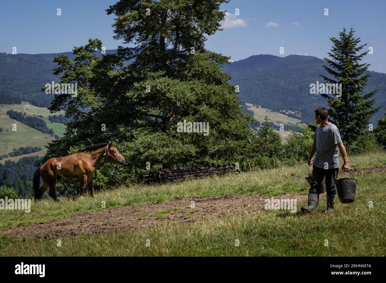 Jaworki, Polonia - 18 luglio 2023: Un lavoratore agricolo che trasporta secchi e un cavallo libero nella fattoria dei monti Pieniny. Foto Stock