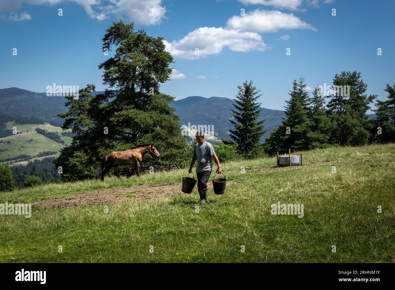 Jaworki, Polonia - 18 luglio 2023: Un lavoratore agricolo che trasporta secchi e un cavallo libero nella fattoria dei monti Pieniny. Foto Stock